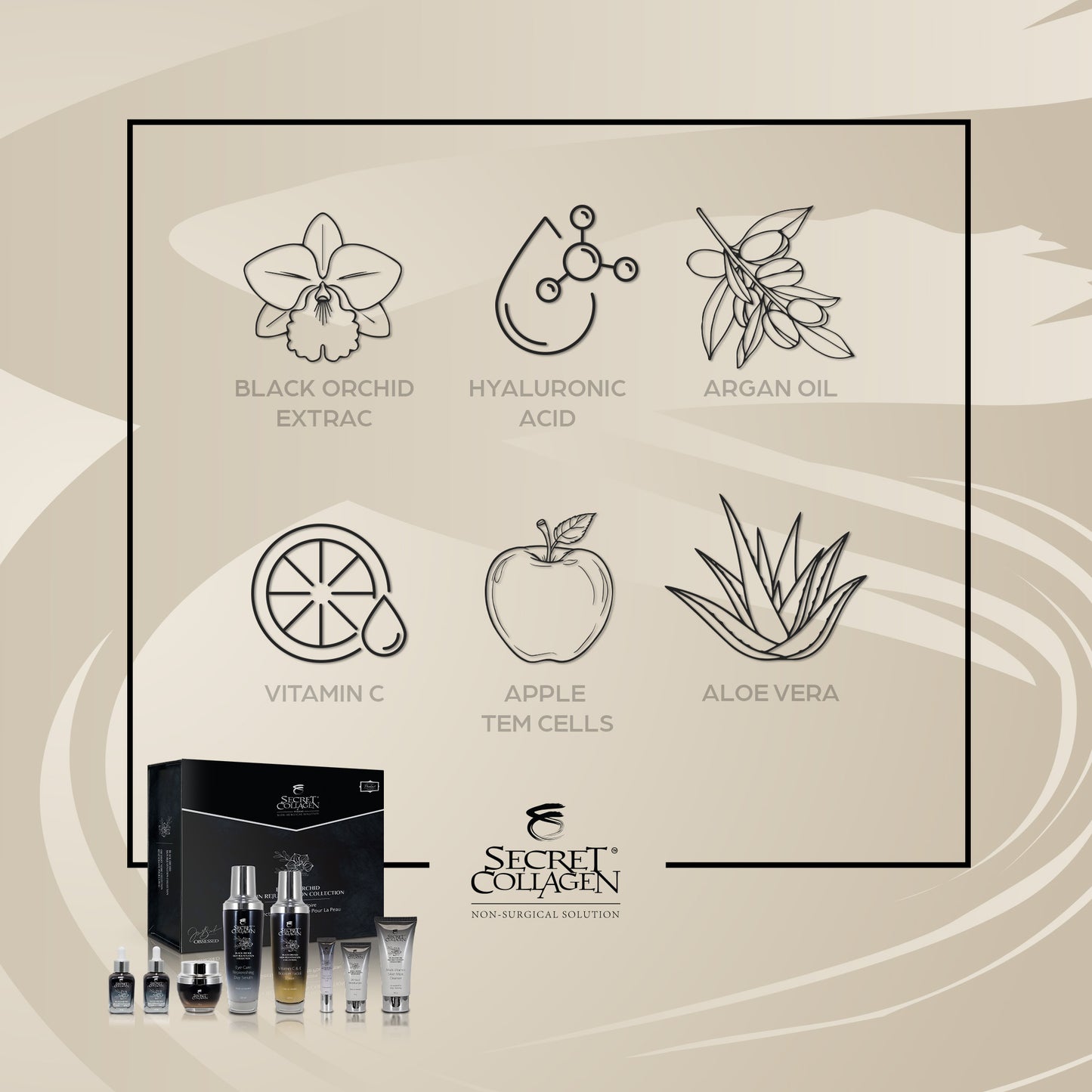 Black Orchid Skin Rejuvenation Collection