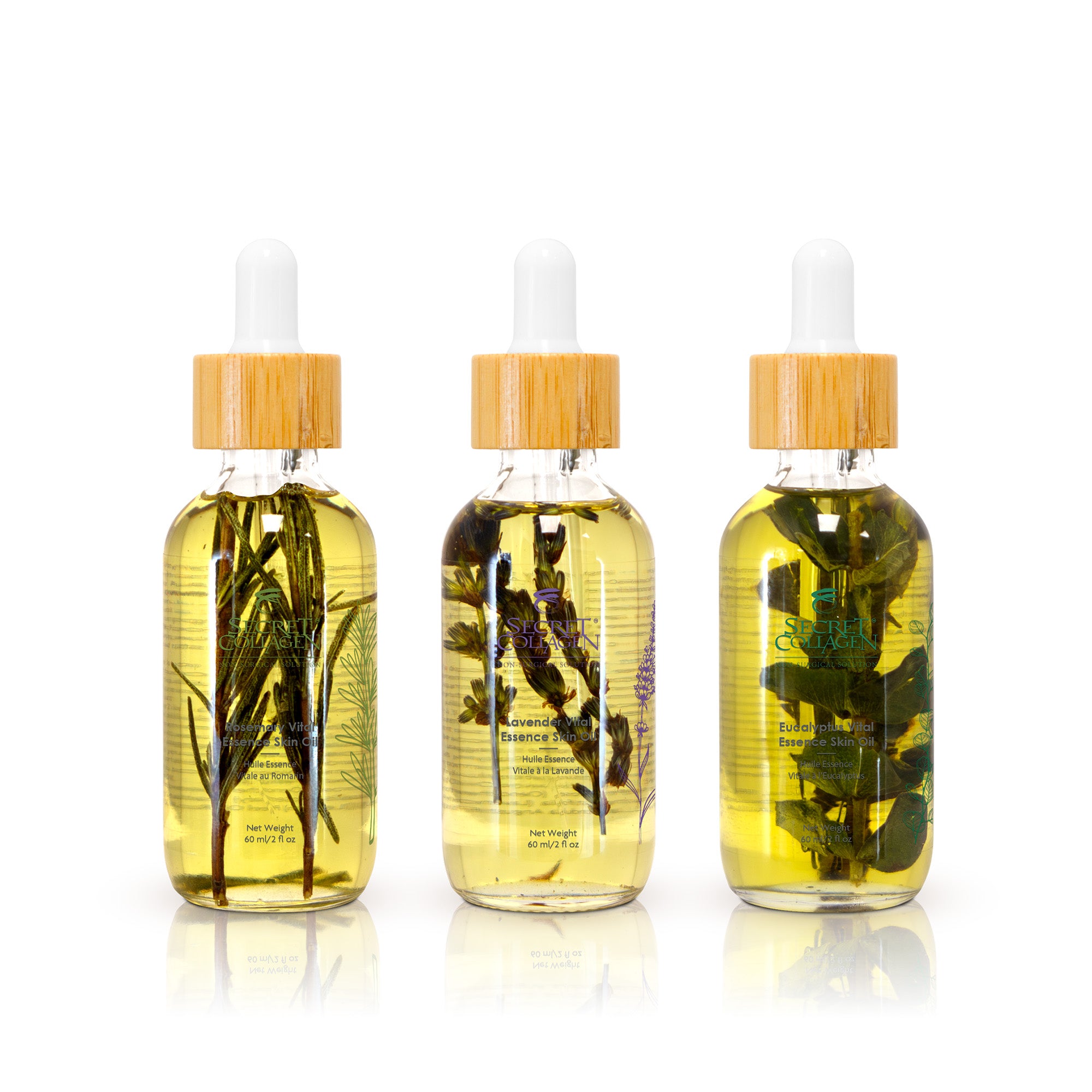 Renewal & Defense Botanical Essential Oil Trio