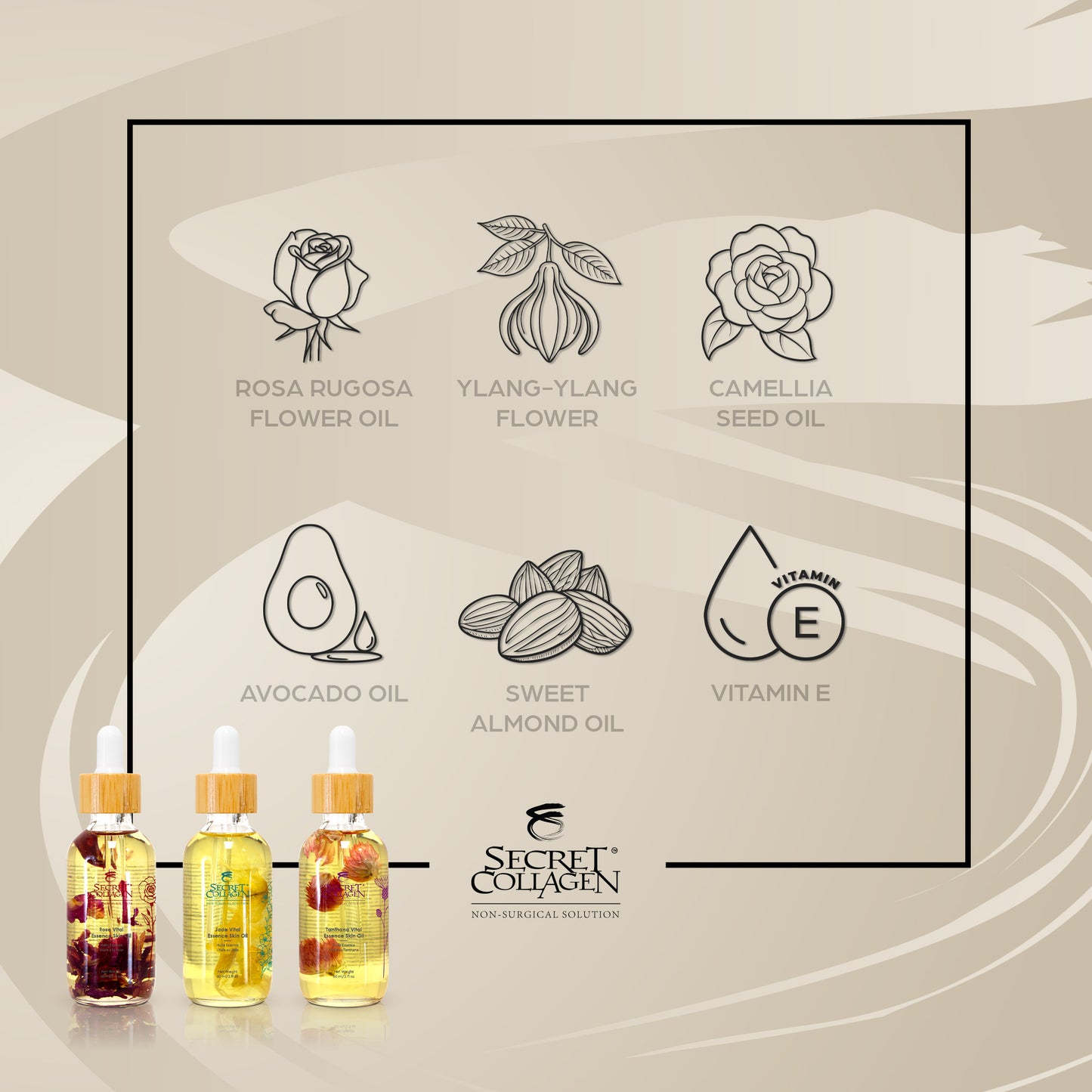 Radiant Rejuvenation Essential Oil Trio