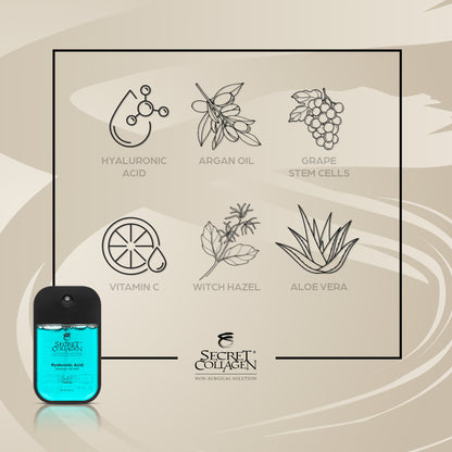 Hyaluronic Acid Moisture Veil Mist