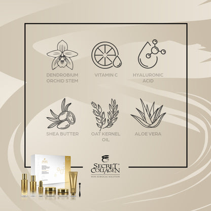 Dendrobium & Multi-Vitamin A, C & E Revitalizing Comfort Collection