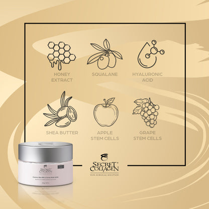 Creamy Bliss Milk & Honey Body Butter
