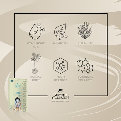 Timeless Glow Hyaluronic Hydration Face Mask