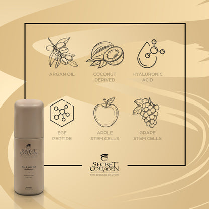 Day & Night Veil Moisturizer