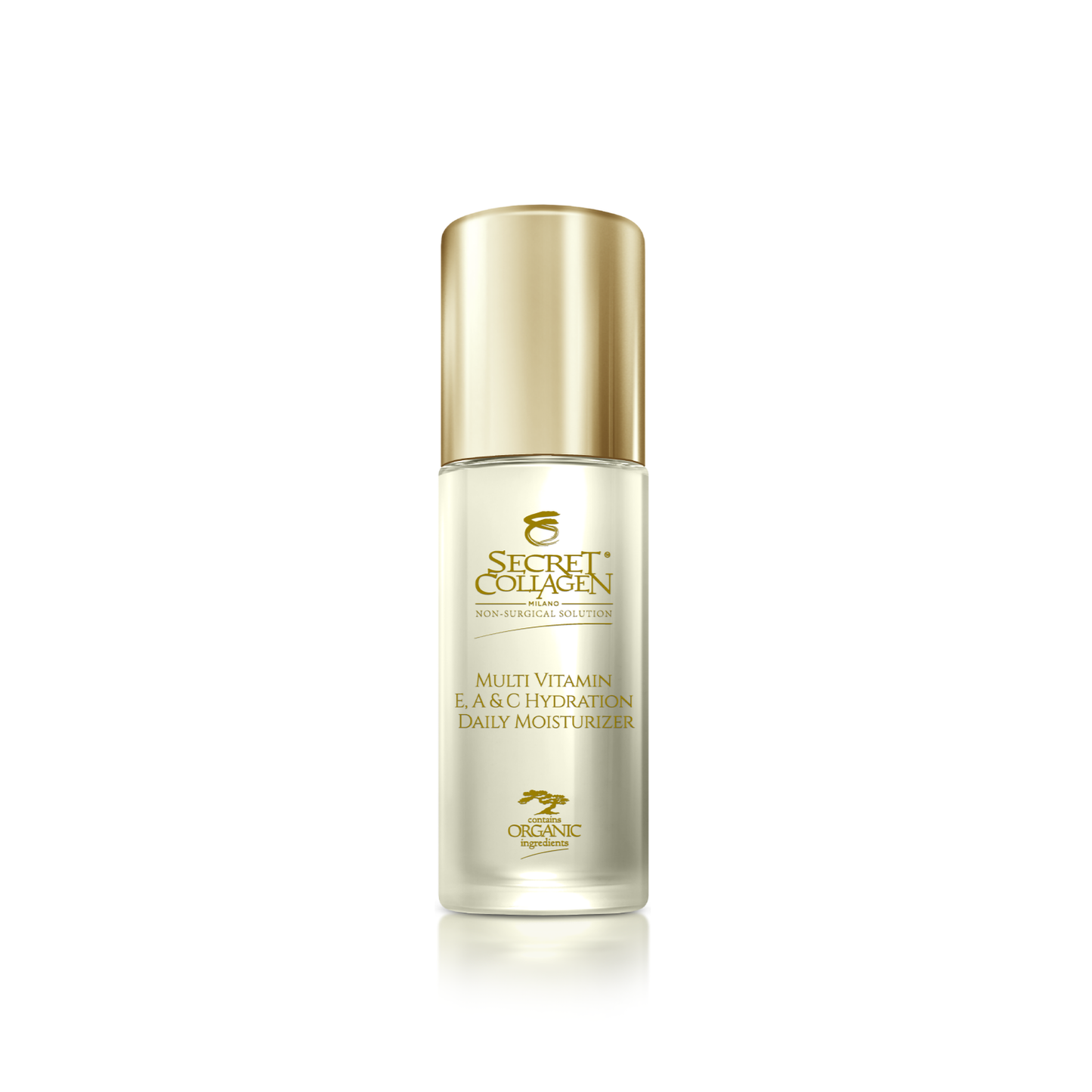 Multi Vitamin E, A, & C Hydration Daily Moisturizer